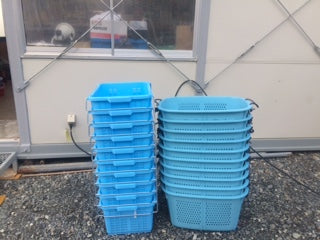 石巻市寄磯浜の漁業グループへコンテナカゴをお届けしました