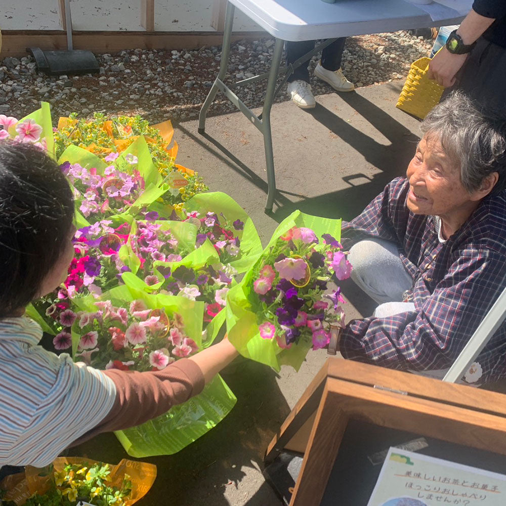 輪島市西脇町の仮設住宅へ花の鉢植えをお届けしました