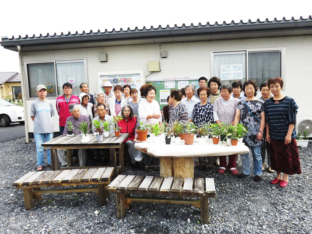 宮城県登米市の仮設住宅へ観葉植物の鉢植えをお届けしました