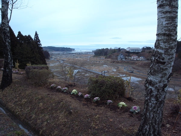 気仙沼市の仮設住宅へもち米をお届けしました