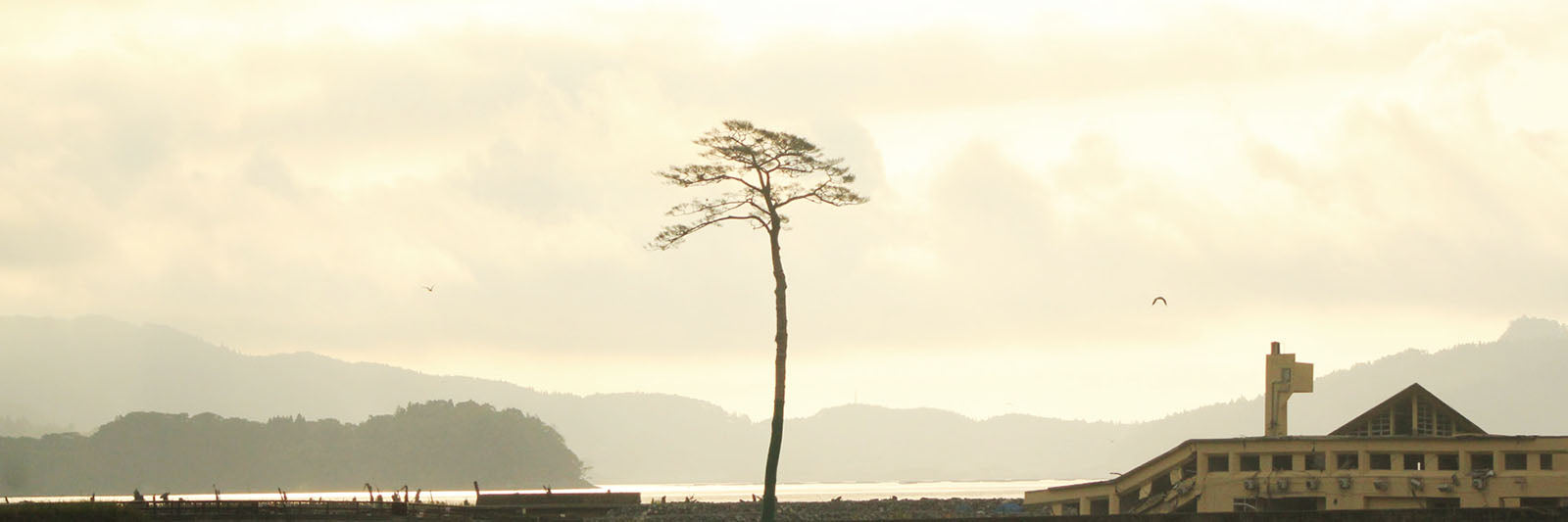 Rikuzentakata city, Japan